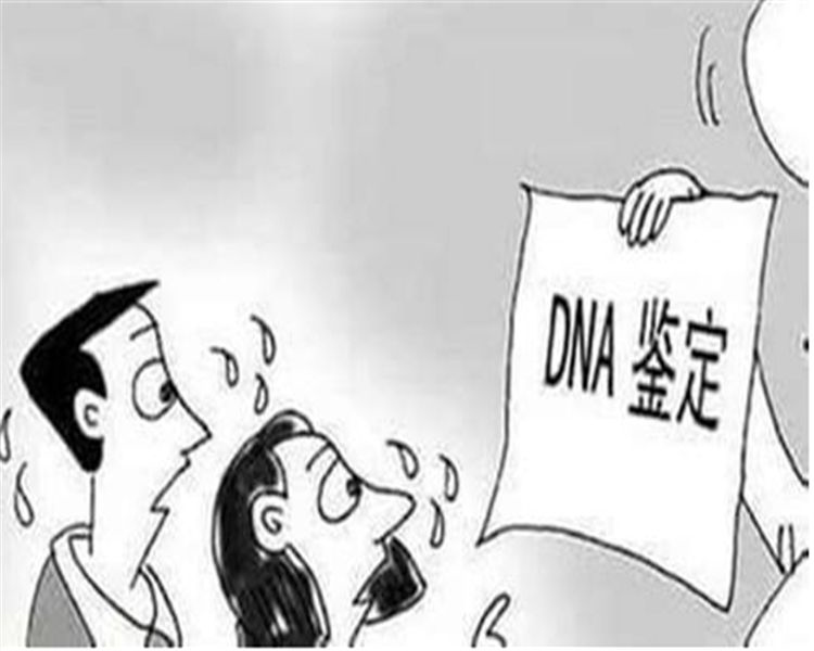 合肥亲子鉴定大概多少费用,合肥权威亲子鉴定机构